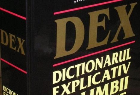 DEX-ul a fost modificat: Termenul "ţigan" este considerat peiorativ
